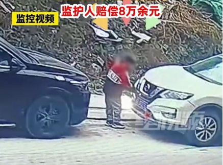 9歲男孩塞鞭炮燒車家長(zhǎng)被判賠8萬(wàn)
